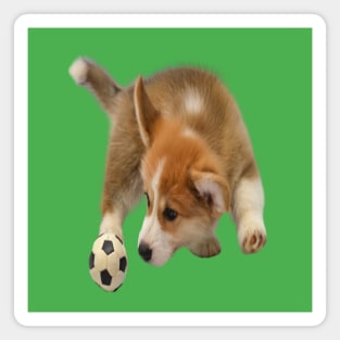 puppy football fan Magnet